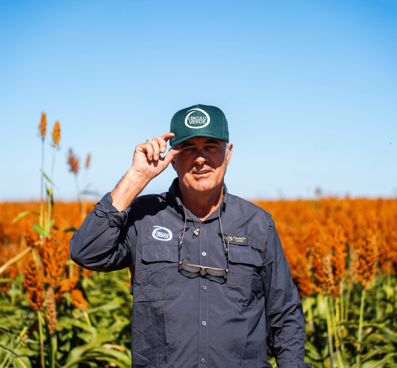 assessores criculo-verde (1)