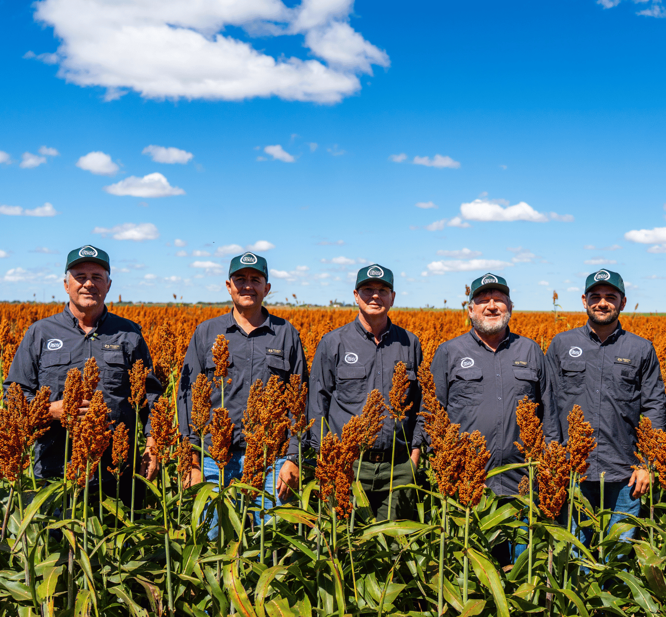 assessores criculo-verde (2)