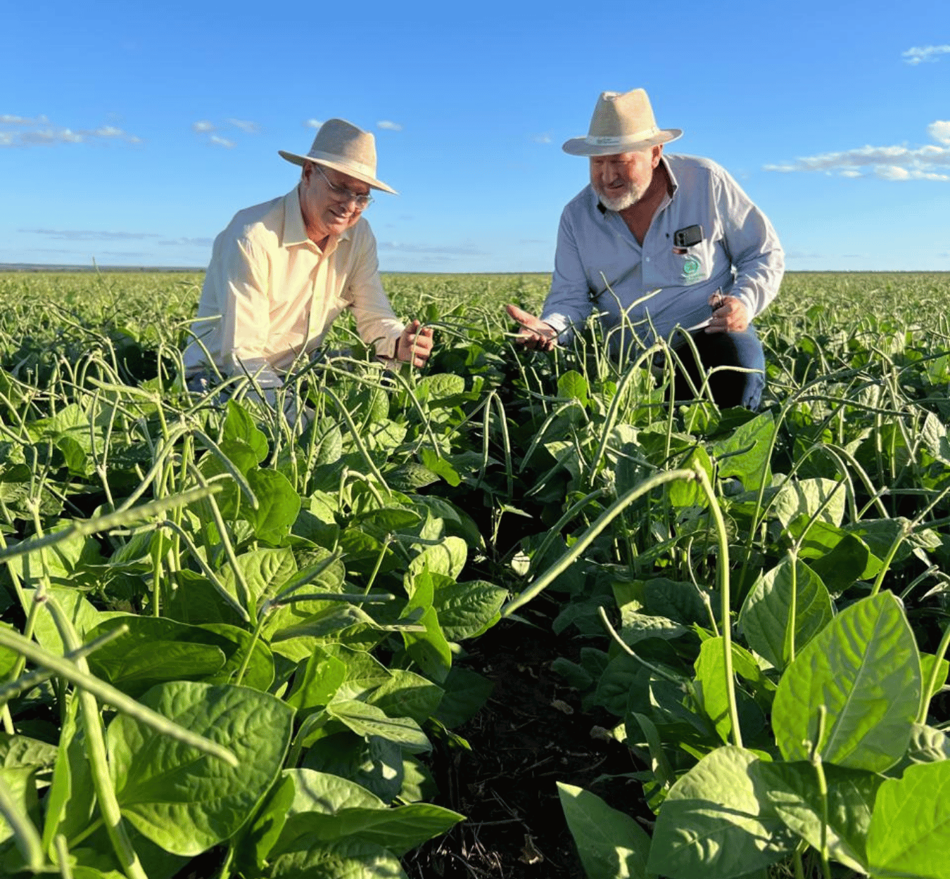 assessores criculo-verde (3)