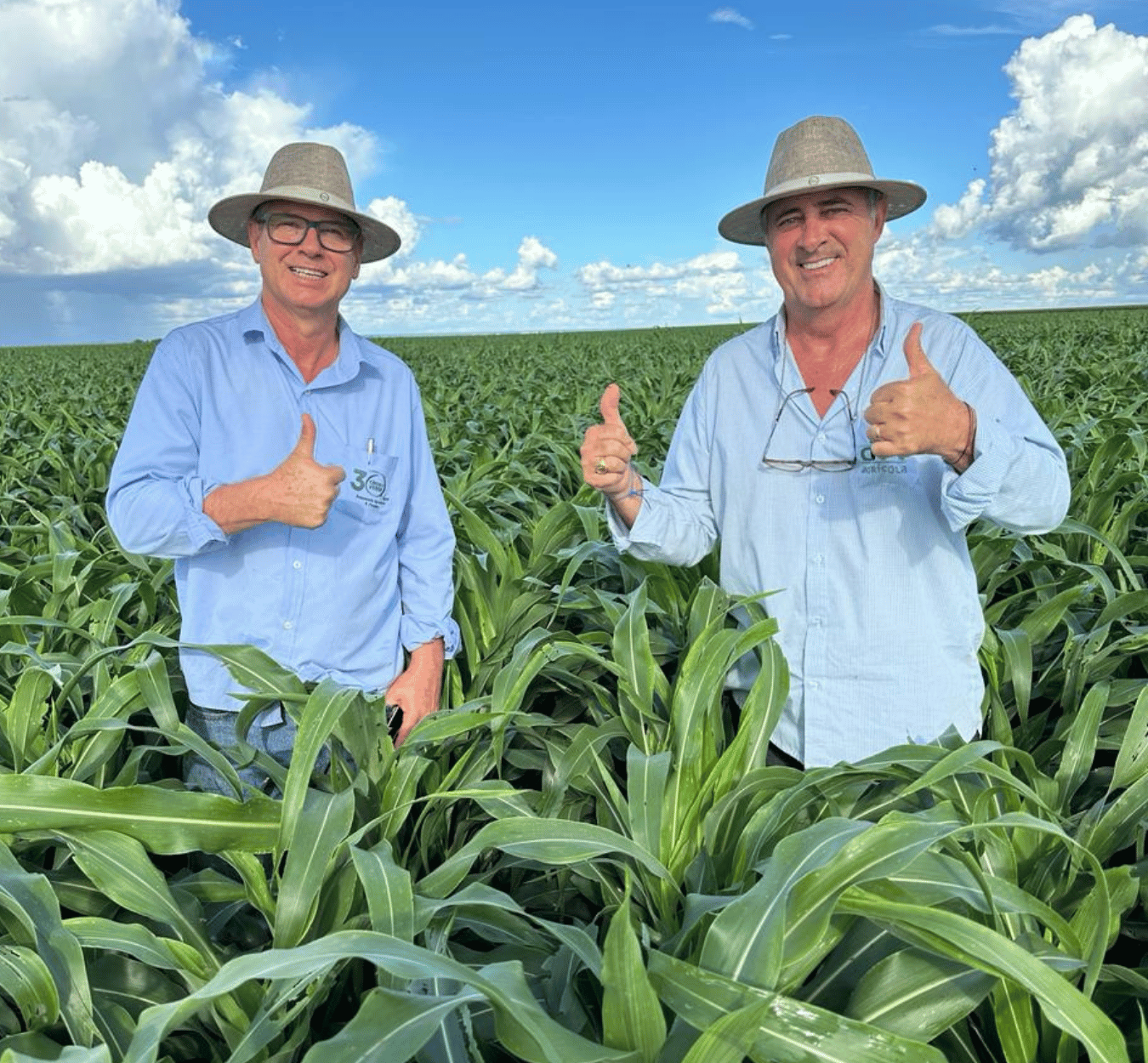 assessores criculo-verde (4)